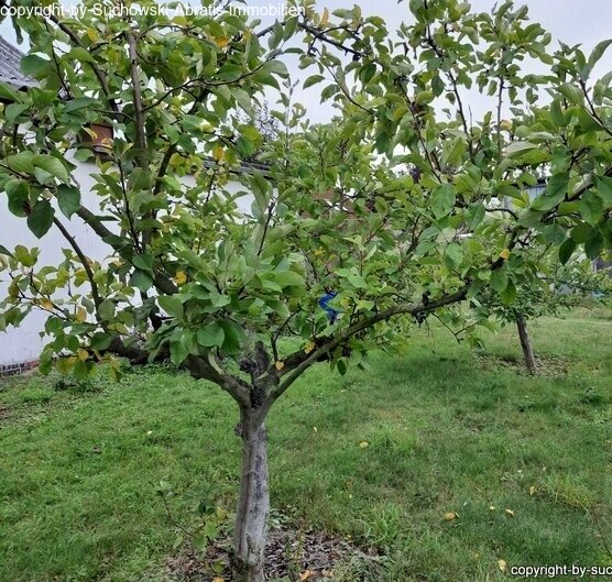 Detailansicht Garten