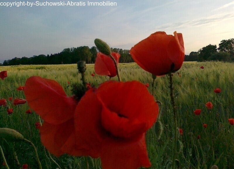 Landwirtschaft